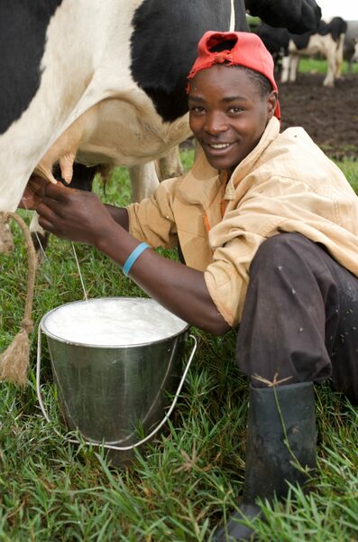 Peter Otieno
