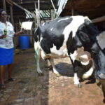 Mary Wanjiku