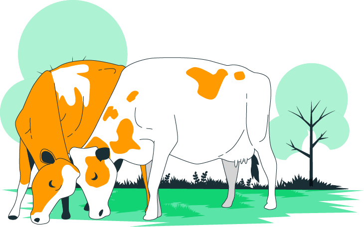 Discover the Ideal Breed with Our Expertise